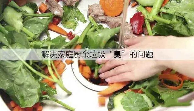 垃圾處理器怎么樣？助力萬千家庭解決廚余垃圾煩惱