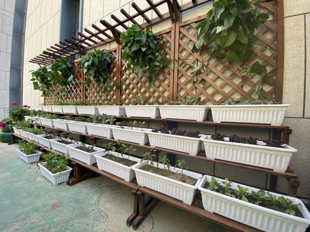 1620641967293907.png 640 (1).png