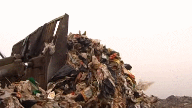 1625049129515090.gif 640.gif