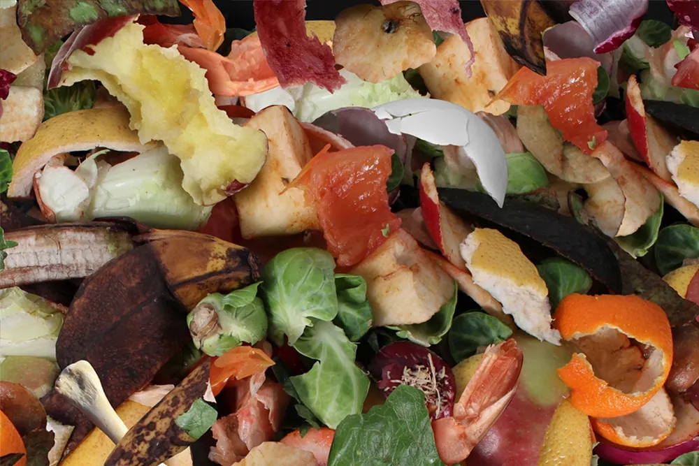 1642495626658300.jpg 640.webp (5).jpg