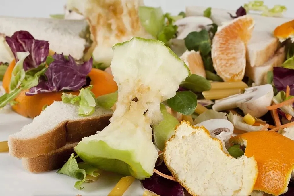 1642677004477997.jpg 640.webp.jpg