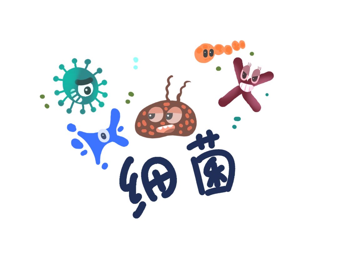 1642759214640657.jpg 1642759214640657.jpg