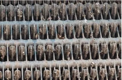 1642759918849748.jpg 640.webp (1).jpg