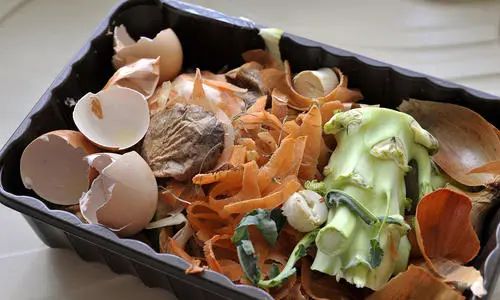 1651029053121065.jpg 640.jpg