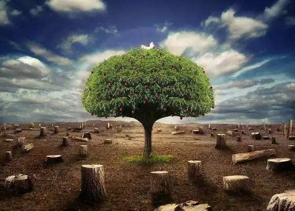 1665305102485355.png 1665305102485355.png