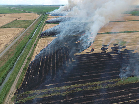 1720920100815839.jpeg fa51e510f69985a30bdb82fbdfc82a37.jpeg